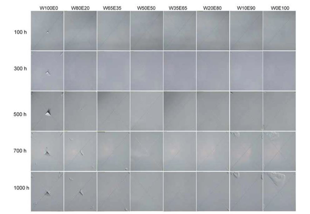 Fig. 3-21. Salt spray test results of E-paint on AZ31 Mg alloy pretreated in CeCC solution with various ethanol concentrations .