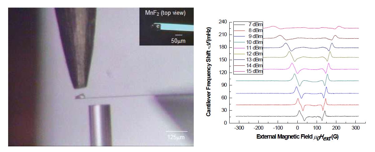 그림 4. MnF2 실험구성 및 벌크시료에서 측정한 19F 신호