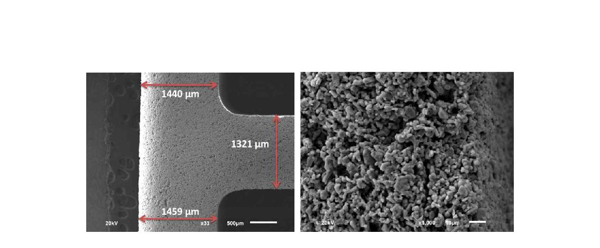 그림 3. 압출 소결체의 지지체 형상(좌) 및 미세조직 (우)
