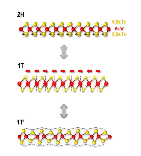 그림 7. WTe2 2차원 소재의 원자구조 배열 형태