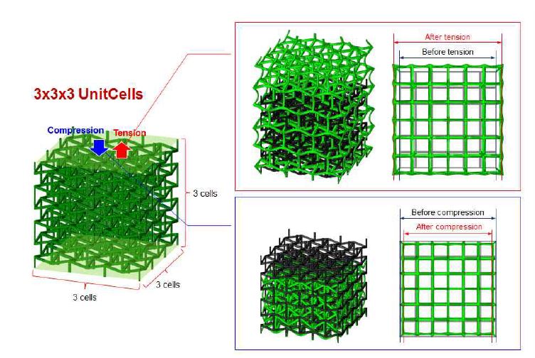 그림 42. Mechanical behavior of Auxetic structures