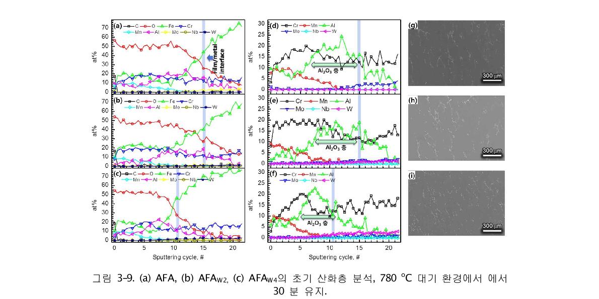 그림 3-9. (a) AFA, (b) AFAW2, (c) AFAW4의 초기 산화층 분석, 780 oC 대기 환경에서 30 분 유지.