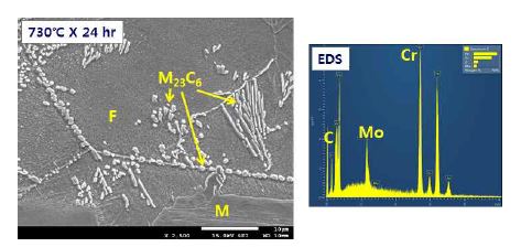 그림 1.13 페라이트역 항온변태 중 석출한 M23C6 탄화물