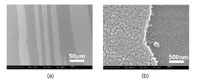 그림 31 PECVD로 형성된 보호층의 내구성 테스트 이후 표면 SEM 사진; (a) 저배율 사진으로 명암이 달라지고 있음을 보임, (b) 고배율 사진으로 나노구조체가 뜯겨져 나갔음을 보여줌