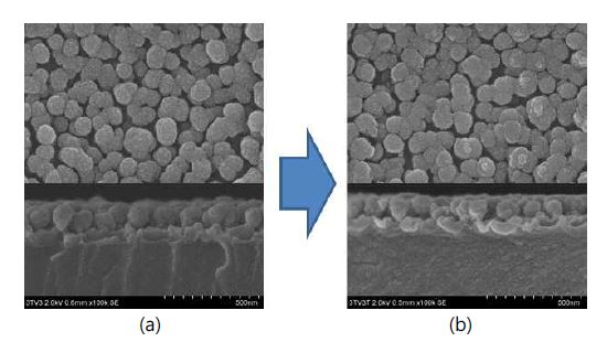그림 33 Sputtering 공정으로 형성된 보호층의 내구성 테스트 이후 표면 SEM 사진; (a) 저배율 사진, (b) 고배율 사진