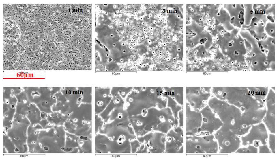 그림 16. SEM micrographs of PEO-treated surfaces of Al1050 alloy in 0.4 M NaOH + 0.06 M H3PO4 + 0.06 M Na2SiO3 + 2g/l TiO2 solution.