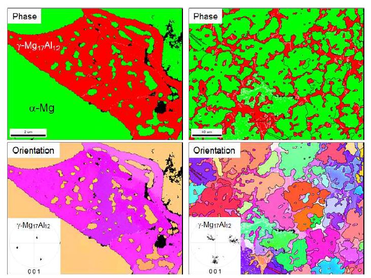 그림 3. Mg-15Al 잉곳 미세조직의 EBSD 분석결과
