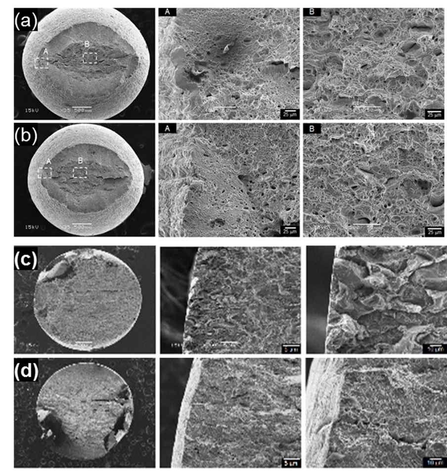 양극분극 조건 및 50 ℃, 2M NaCl 수용액에서 (a) D2W, (b) D5W (c) D1 및 (d) D2 합금의 파단면 비교