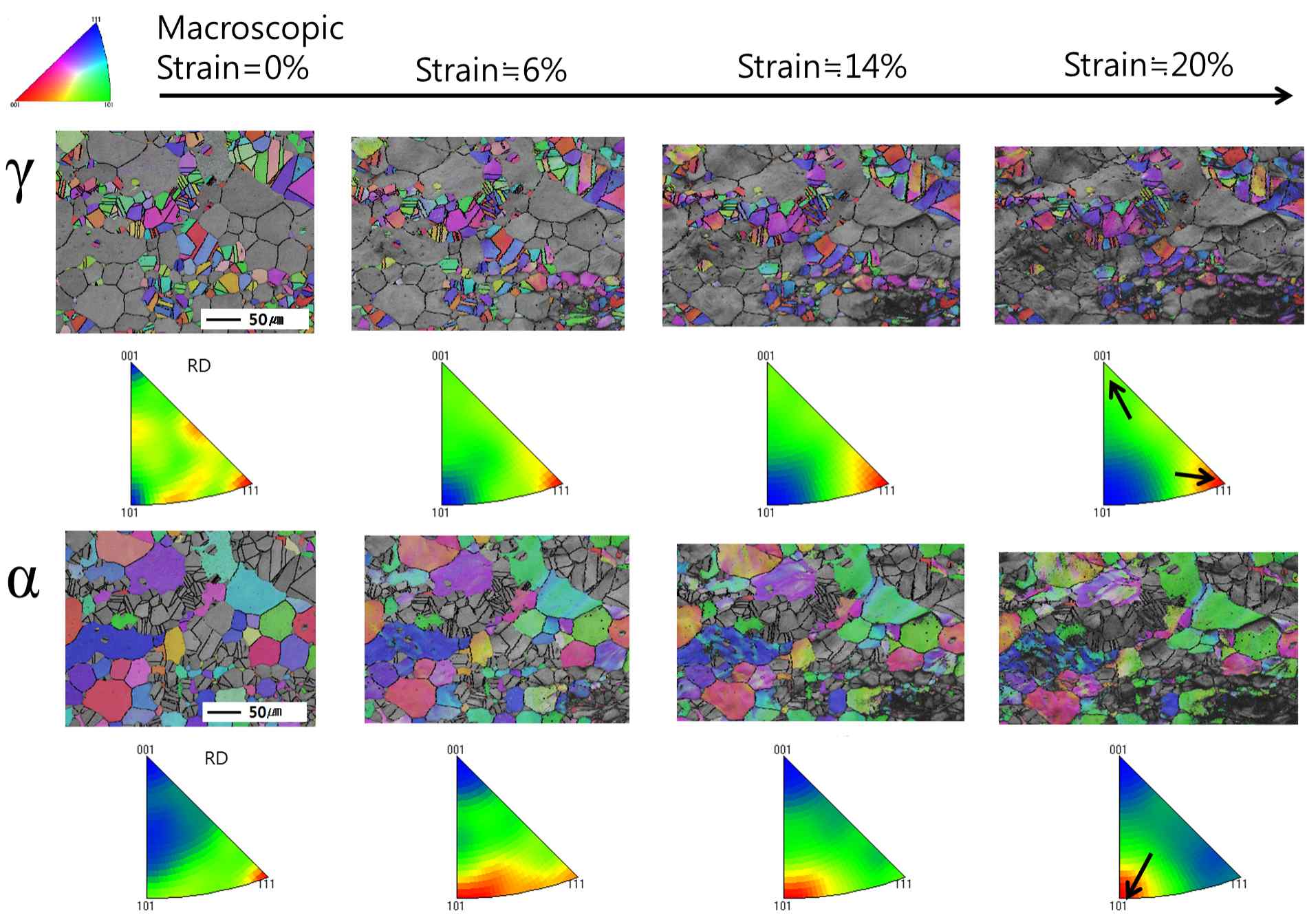 in-situ 1축 인장 변형에 따른 상 별 인장방향 orientation map