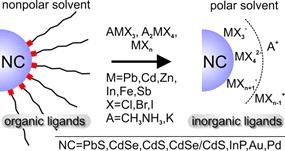 반도체 나노입자 표면 분자를 Halide 분자로 치환하는 모식도 (J. Am. Chem. Soc. 2014, 136, 6550)