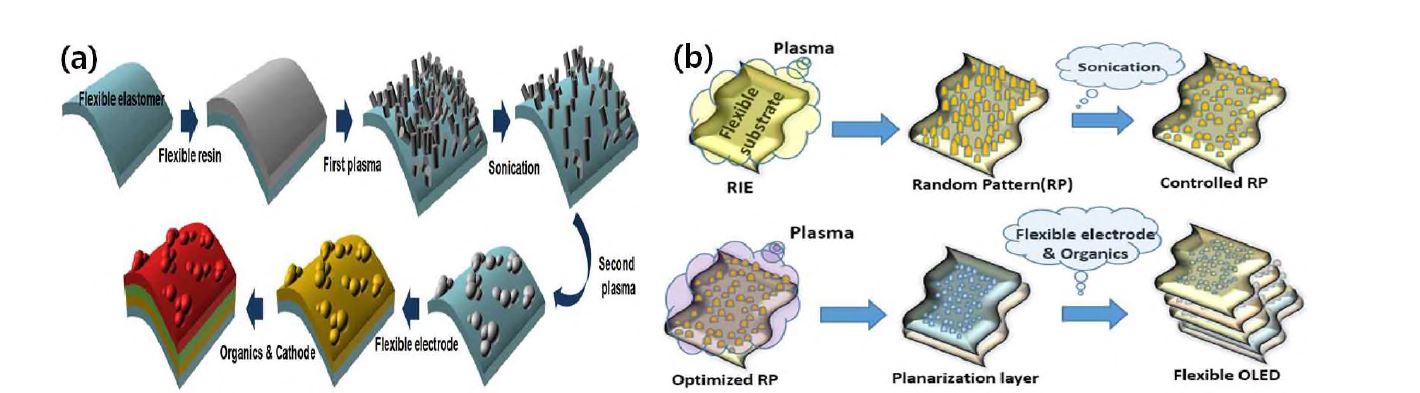 폴리머SU-8 나노 구조체의 OLED제작 (a), 폴리머 PES기판 나노 구조체의 OLED제작 (b)