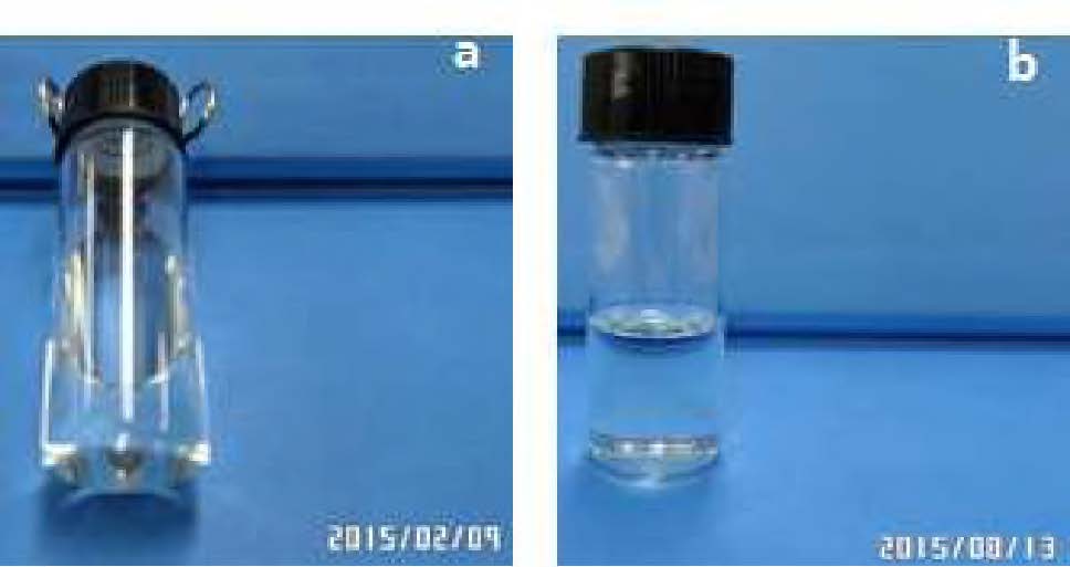 6개월 보관전 (a) 후 (b) 액상 프리폴리머의 외관 변화