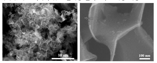 [그림 35] 3차원 네트워크 구조의 탄소 나노시트의 SEM 분석 결과