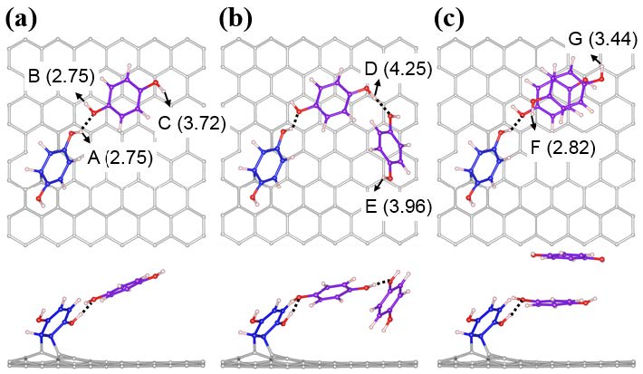 [그림 60] 탄소표면에 흡착된 HQ분자들의 다양한 구조.