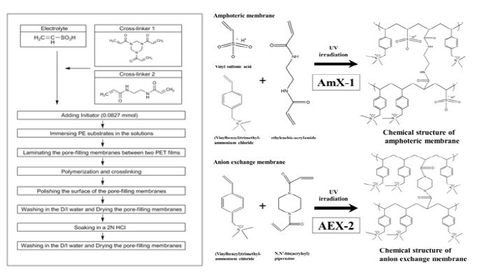 [그림 2- 1] 세공충진형 양이온/음이온/양친성 교환막 제조 조성