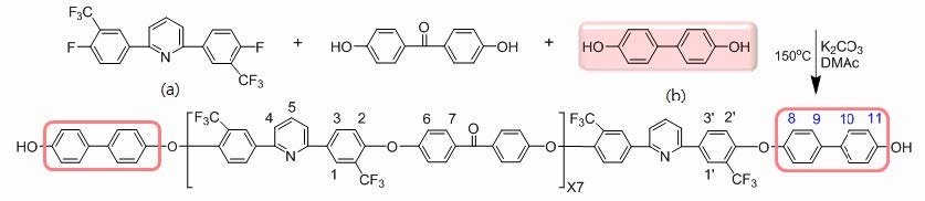 Fig.2.12. 신규 부분 불소화 올리고머 설계 및 개발[(a)신규모노머, (b)dihydroxy biphenyl, 엔드케핑 reagent]
