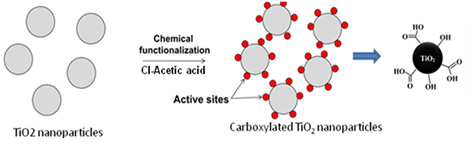 Carboxylated TiO2 nano particles 제조 방법