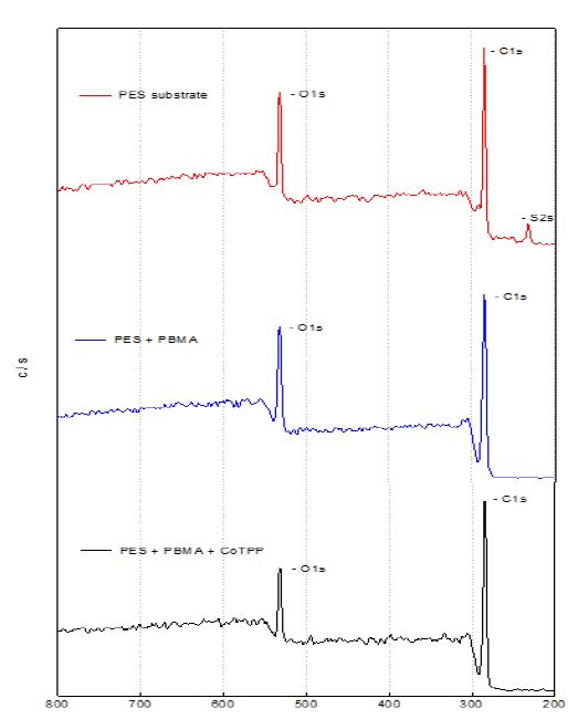 PES-PBMA-CoTPP의 XPS 분석결과