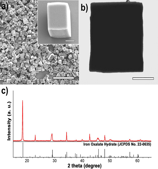 [그림 3-24] (a) 철옥살레이트 수화물 입자의 SEM 이미지 및 (b) TEM 이미지, (c) XRD 데이터