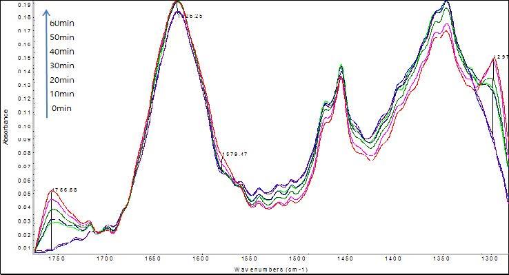 순차반응에 따른 in situ FT-IR peak 분석