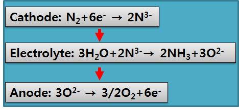 전기화학적 암모니아 합성 반응식