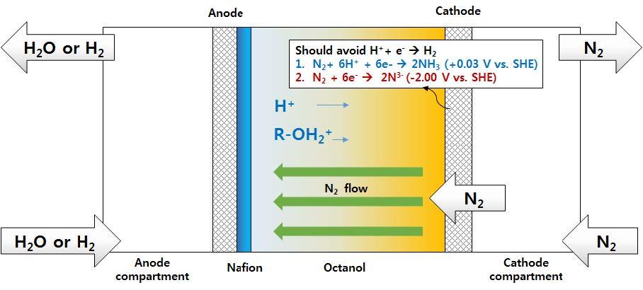 알코올성 용매를 기반으로 한 전기화학적 암모니아 합성 셀