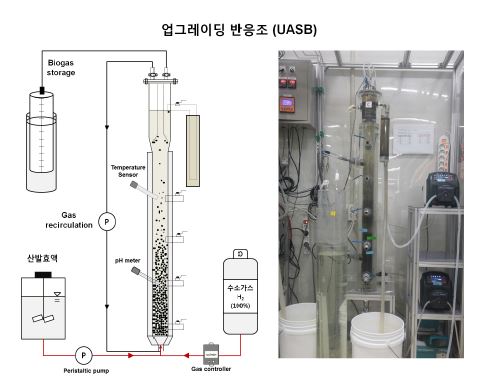 [그림 3- 7] 산발효액 및 수소가스 이용 in-situ 업그레이딩 반응기 모식도 및 반응조