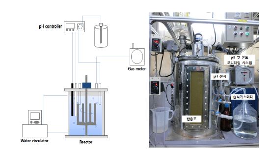 [그림 3-10] 연속식 산발효 시스템 모식도 및 반응조