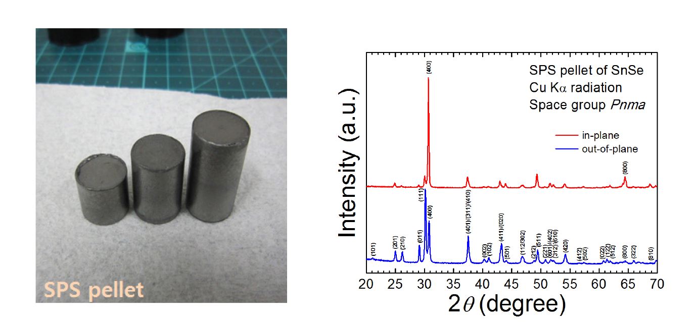 [그림 4] (좌) SPS 처리된 dense 펠렛, (우) 방향에 따른 SPS 펠렛의 XRD 패턴