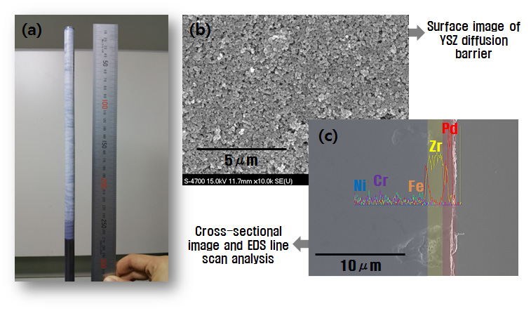 [그림 12] YSZ 확산방지층의 코팅 후 분석 사진