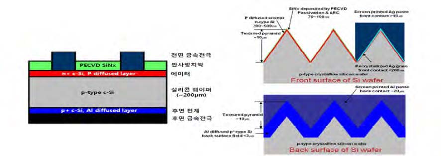 [그림 4-16] 결정질 태양전지 구조 및 전/후면 표면층 구조