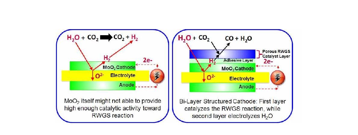 MoO 전극과 Bi-layer cathode에 의한 electrolysis 개념도