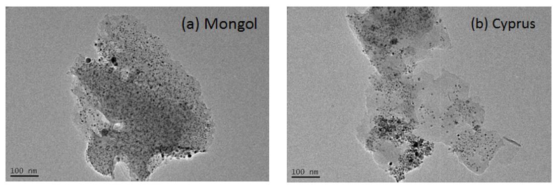 TEM pictures of metal ion exchanged coal complexes (a) 9.6 wt% Ni/Mon, (b) 7.6 wt% Ni/Cyp