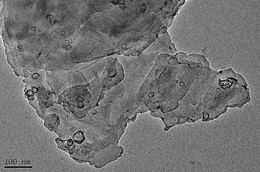 TEM picture of Cu dispersed on Eco coal (after drying at 107 ℃)