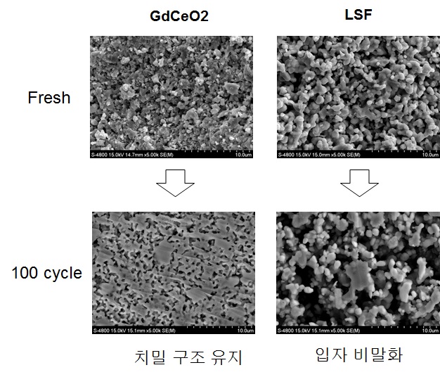 소성 후 및 100회 redox cycle 반복 후 Gd0.1Ce0.9O2 와 LSF의 SEM image 비교
