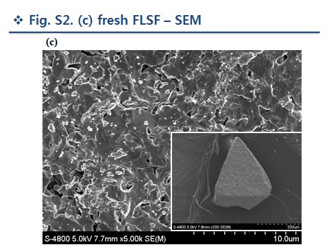 SEM of fresh Fe2O3/LSF.