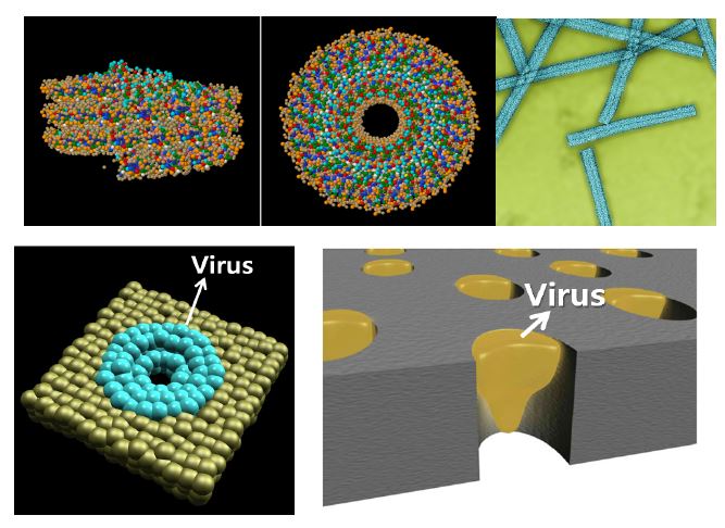 식물 바이러스 이미지 및 복합 분리막 모식도