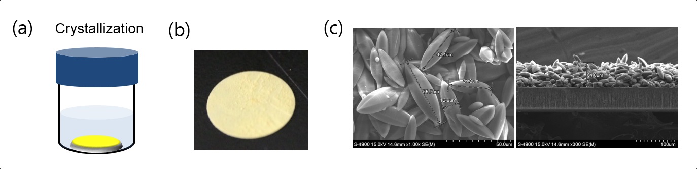 (a) Alumina 지지체 표면에서 [Mg2(DOBDC)(EG)2] 결정화, (b) Alumina 지지체 위에 코팅된 [Mg2(DOBDC)(EG)2] 결정, (c) Alumina 지지체 위에 코팅된 [Mg2(DOBDC)(EG)2]의 SEM 사진