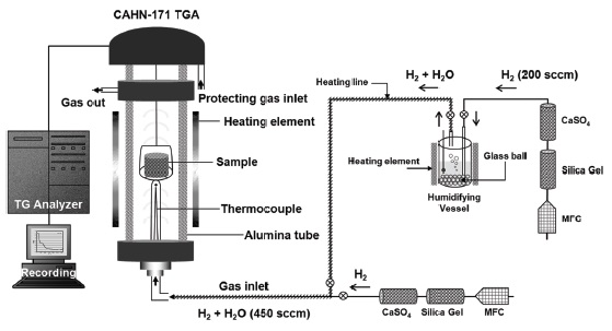열중량-분석기 형 분광철 환원반응기