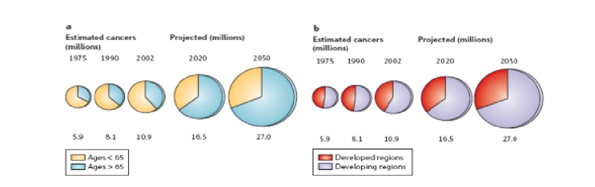 <그림 1> 1975-2050년까지의 새로운 암환자 발생 수 예측