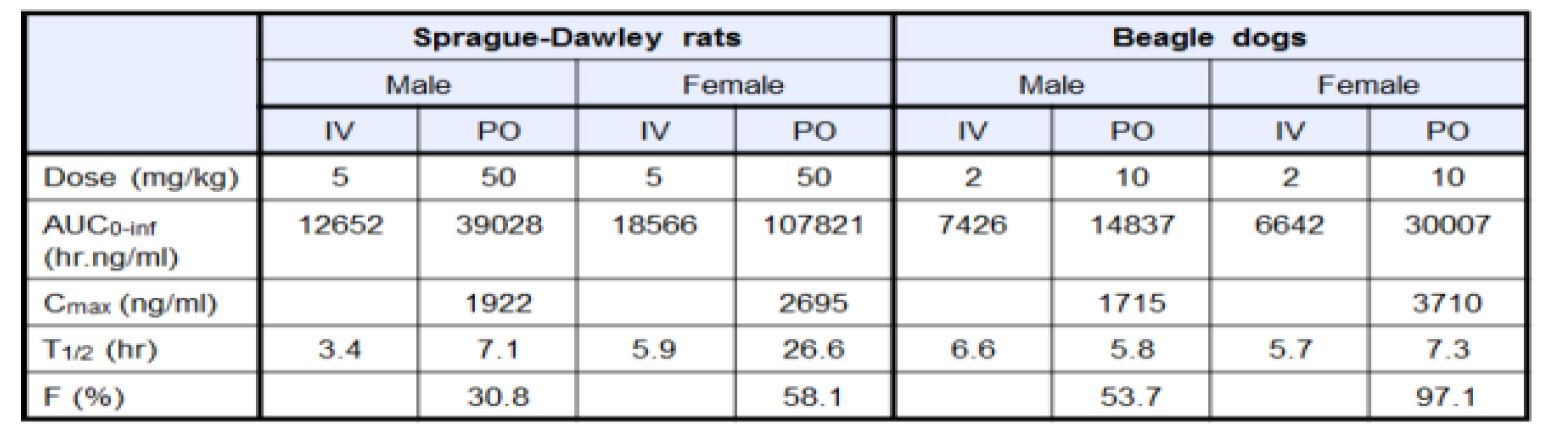<그림 12> 6k 선도물질에 대한 Sprague-Dawley rats과 Beagle dogs에 대한 PK 검증 결과