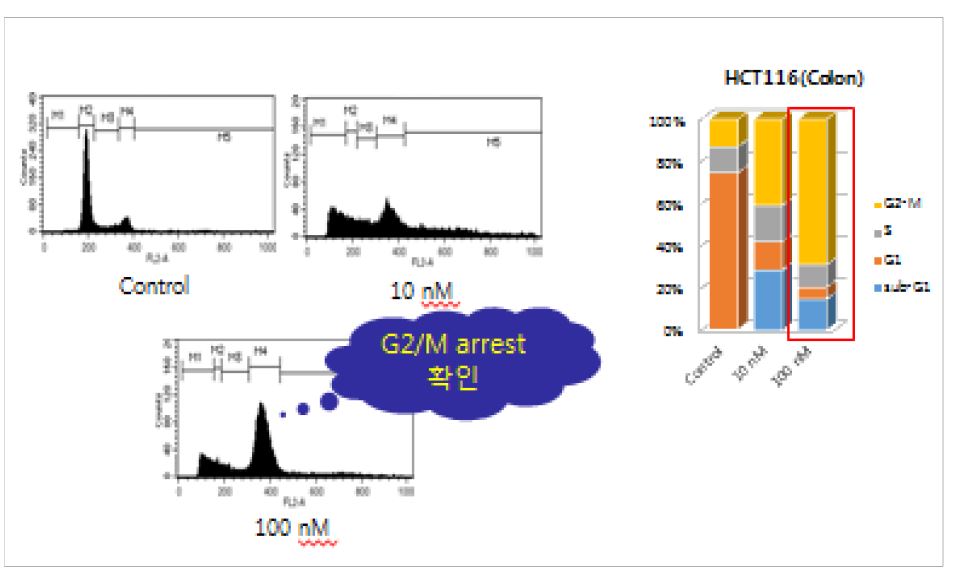 그림 34. 대장암(HCT116)에 선도물질 DGG-200064 처리후 PI 염색을 통하여 FACS 분석.DGG-200064 처리후 G2-M arrest 가 일어남이 확인 됨.