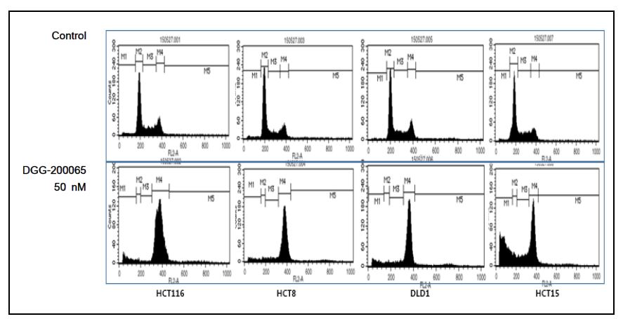 그림 36 FACS 분석을 통한 대장암세포 (HCT116, HCT15, HCT8, DLD1,)에서 DGG-200065의 G2- 세포증식 억제 확인.