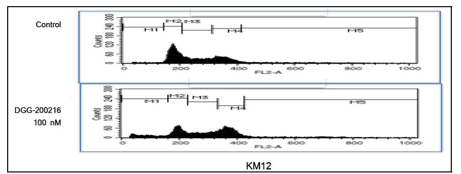 그림 37. FACS 분석을 통한 대장암세포(HCT116)에서 DGG-200216의 G2-M 세포증식 억제 확인.