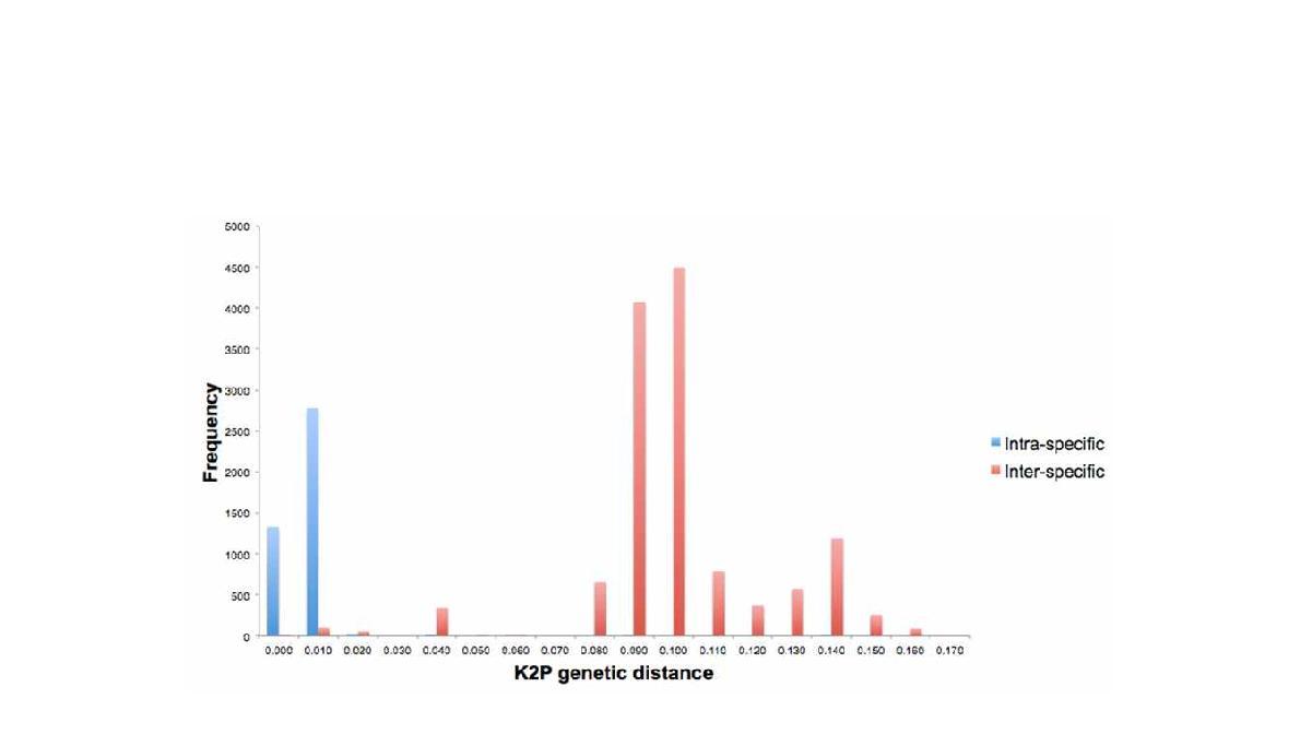 mtDNA COI 좌위를 이용해 작성한 Acheilognathus (Tanakia)의 종내 종간 Kimura 2 Parameter 유전적 거리 비고