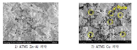 그림 5.1.7 MS-Zn-Al 100 과 MS-Cu 100 피막의 표면부 SEM 측정 결과 (측정 배율 : 200×)