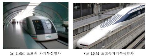 그림 1.3.2.2 국외 LSM 방식 추진 철도