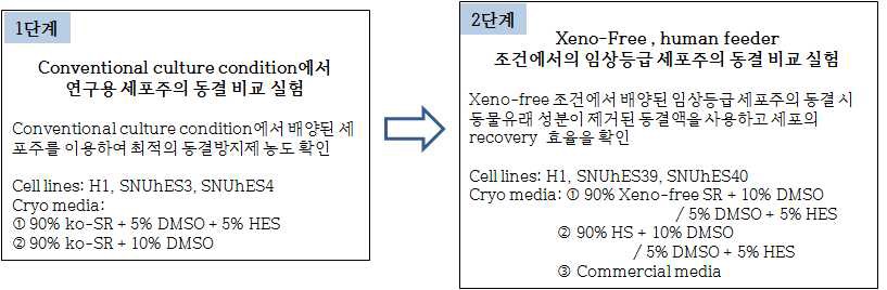 그림 9 임상등급 세포주 대량확보를 위한 동결 및 해동 연구의 계획도