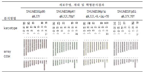 그림 14. 핵형분석과 array CGH 분석 결과