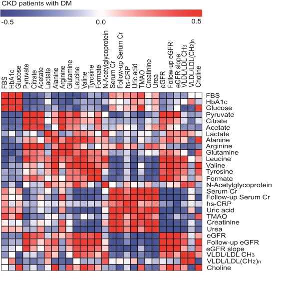 그림 6. 당뇨성 신부전 환자의 혈청 대사체와 임상 파라이터와의 correlation matrix. Pearson correlation coefficient는 –0.5에서 +0.5로 표시 하였으며 빨강과 파랑은 각각 양과 음의 상관관계를 나타낸다.